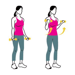 Bicep Curl Exercise Guide - Proper Form & Technique
