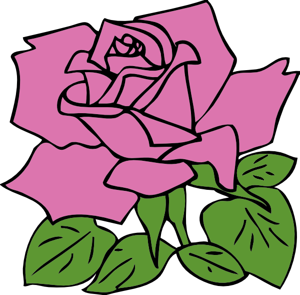 A stylized pink rose with green leaves, outlined in black, depicted in a simple vector illustration style.