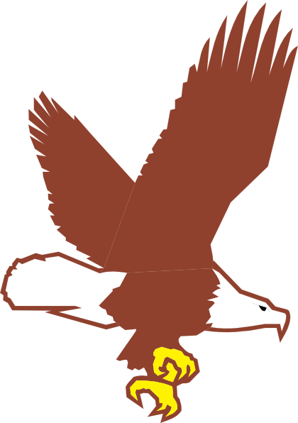 Brown bald eagle in flight with yellow talons extended, white head and tail, stylized vector illustration.