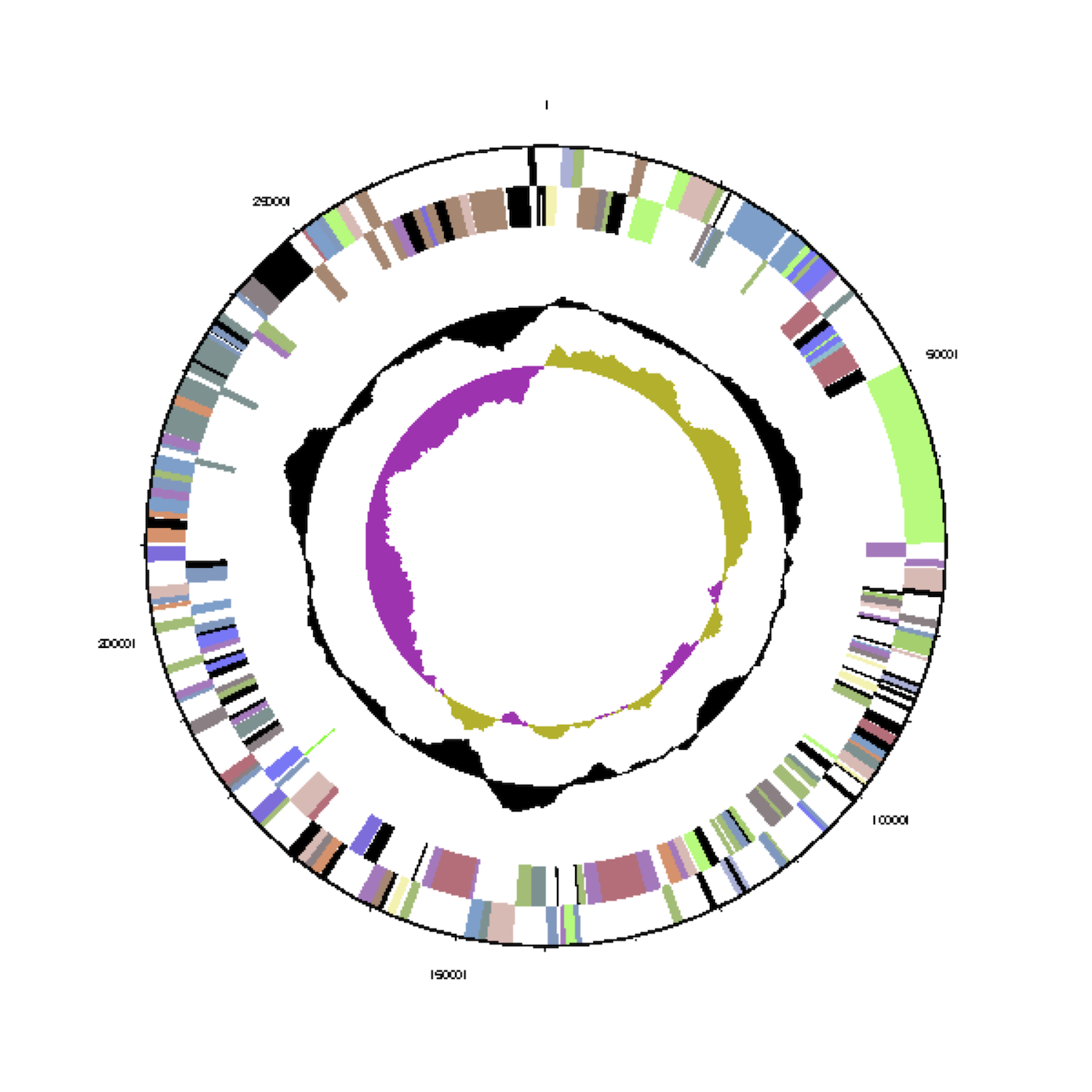 Picture Of Prokaryotic Cell With Labels 