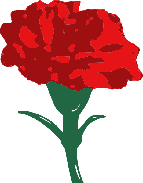 Vibrant red carnation with ruffled petals and green stem, stylized illustration.