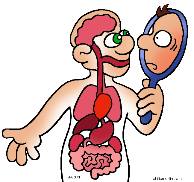 Cartoon man with transparent torso showing internal organs, holding a mirror to his face with a surprised expression.