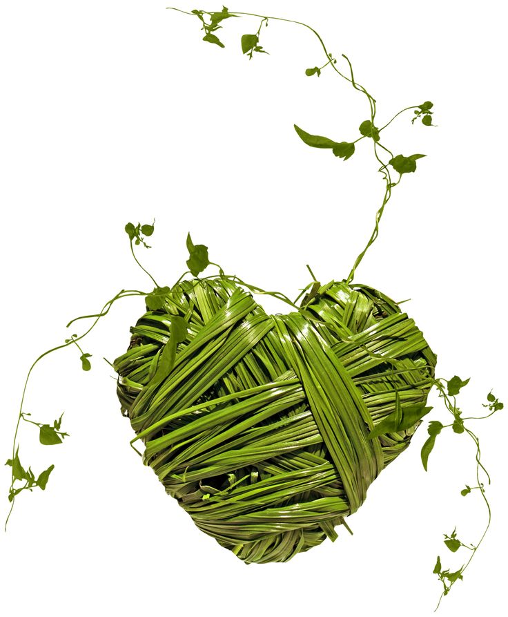 A heart-shaped woven green plant sculpture with delicate vines and leaves extending outward on a white background.