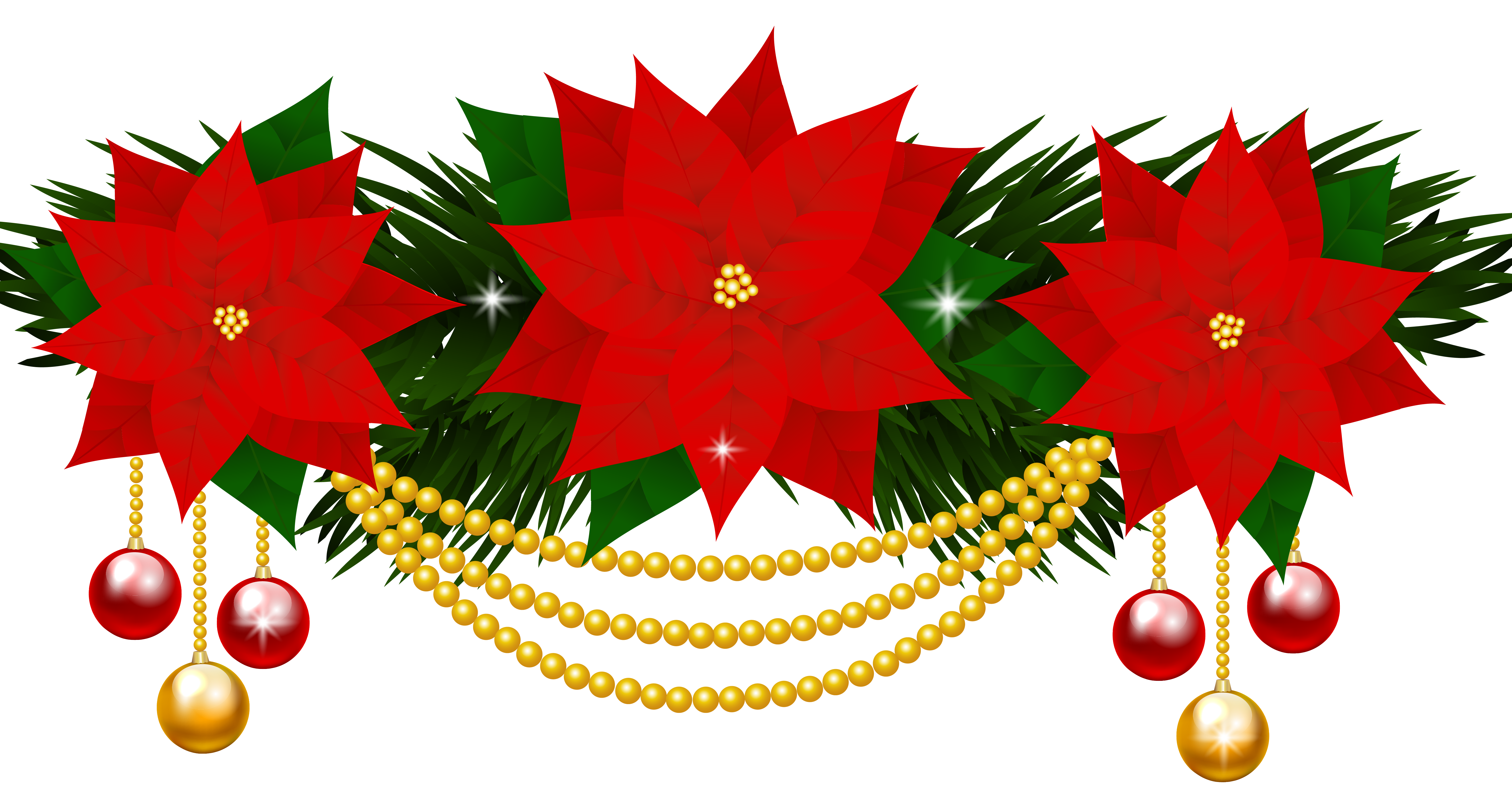Poinsettia Clipart Png Images