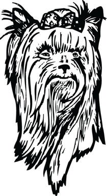 Yorkie Yorkshire Terrier Dog Face Clip Art For Custom Gifts 