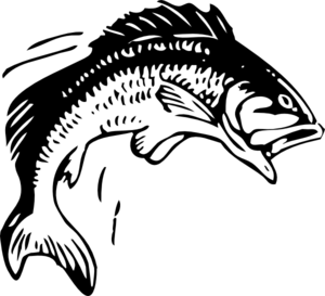 Original Pike fish sketch | SeanBriggs