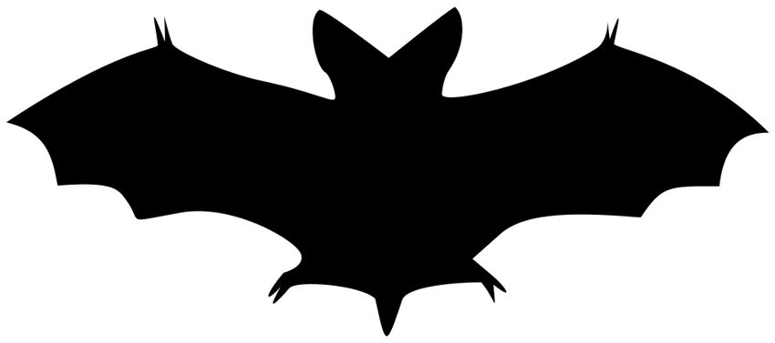 Halloween Bat Clipart Black And White 