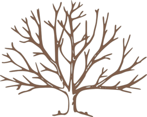 Bare brown tree with intricate branching structure on transparent background