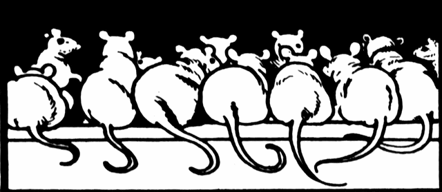 Black-and-white line illustration of a procession of cartoon mice walking in a single file line, tails curled and ears perked.