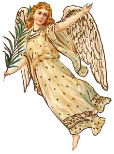 Angels 