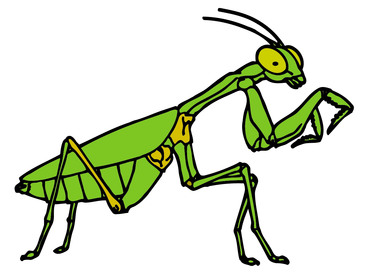 Bright green cartoon praying mantis in alert stance with raised forelegs and large yellow eyes.