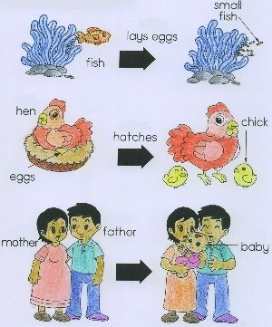 cold clip art 