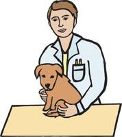 Veterinary Care for Puppies | Gentle Pet Health Checkups