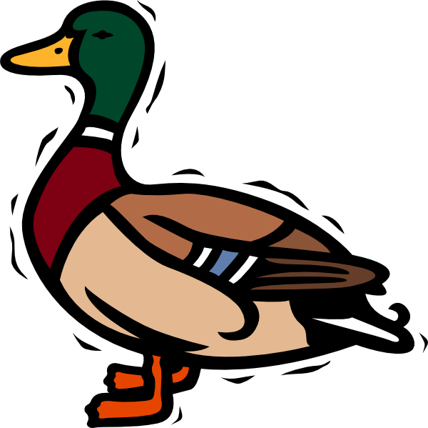 Cartoon-style male mallard duck with green head, yellow beak, chestnut breast, and blue wing patch, walking dynamically.