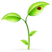 A vibrant green sprout with glossy leaves and a red ladybug resting on the top leaf, symbolizing nature and growth.