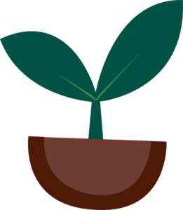 A green sprout with two leaves growing from a brown pot, symbolizing growth and sustainability.