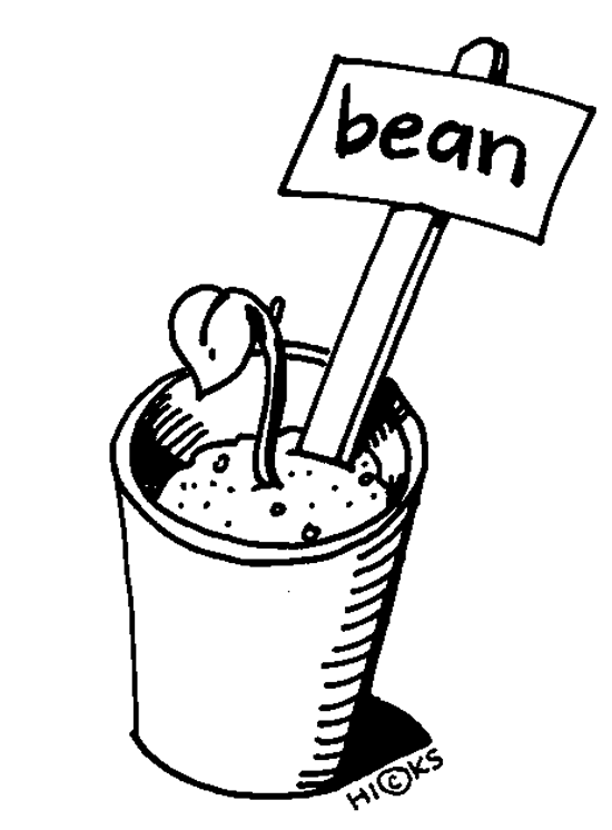 A hand-drawn illustration of a bean sprout growing in a cup with a labeled "bean" sign stuck in the soil.