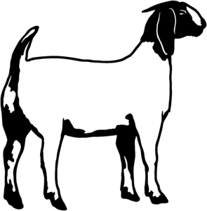 Goat Illustration - Clean Line Art for Farming, Education & Design