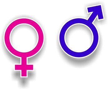Pink female and blue male gender symbols side by side on white background