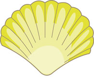Free Seashells Clipart Free Clipart Image