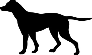 Canine Clipart 
