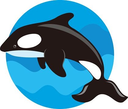 Free whales clipart free clipart graphics image and photos image