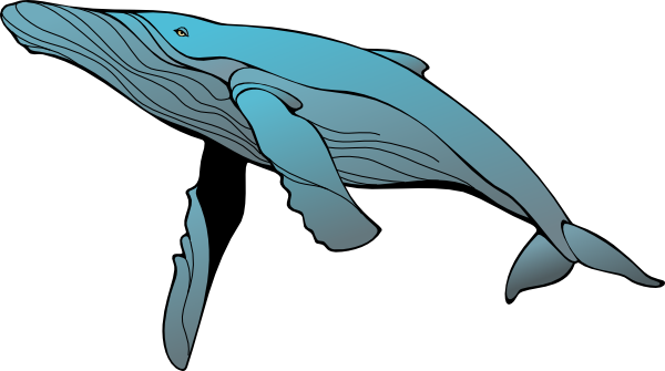 Whale Clip Art 