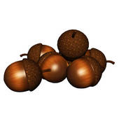 A cluster of realistic brown acorns with textured caps and smooth nuts, arranged naturally on a white background.