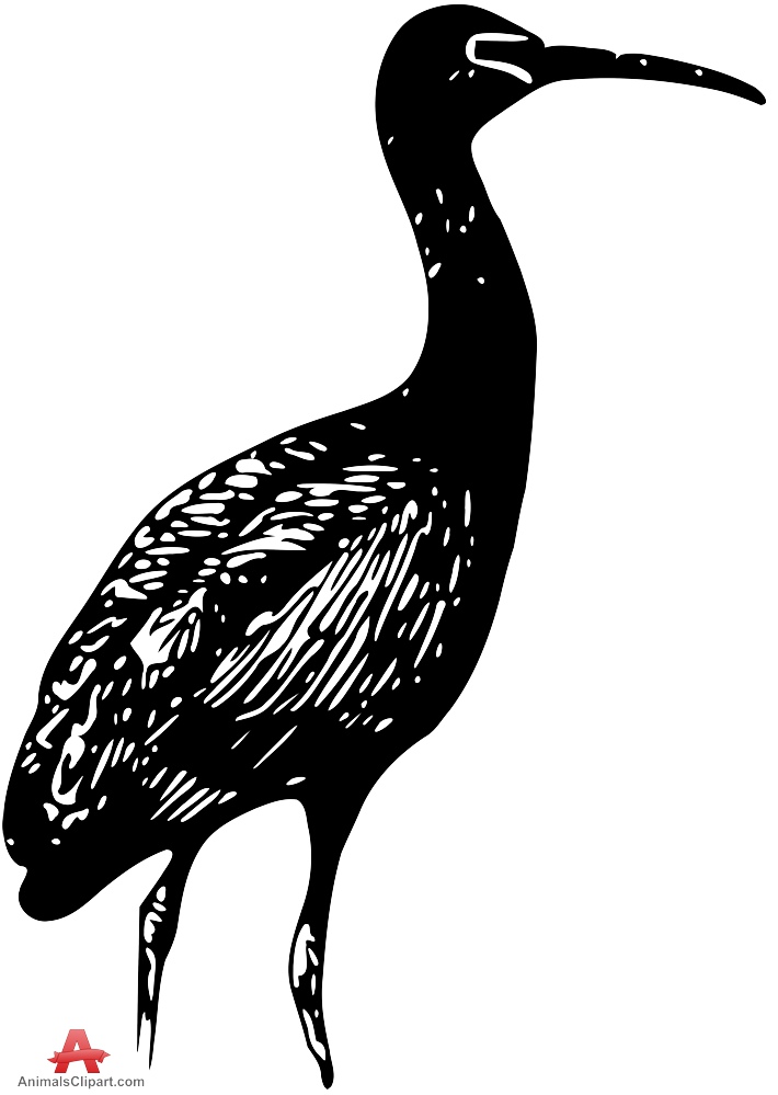 water bird - Clip Art Library