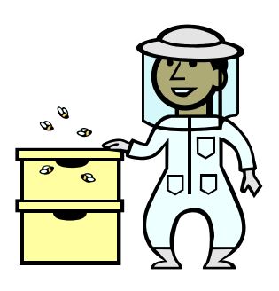 Smiling beekeeper in white protective suit and veil tending yellow beehives with bees flying nearby.