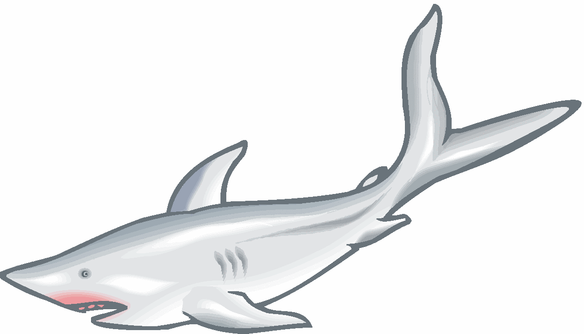 Gray cartoon-style shark with open mouth, sharp teeth, and prominent dorsal fin swimming left to right.