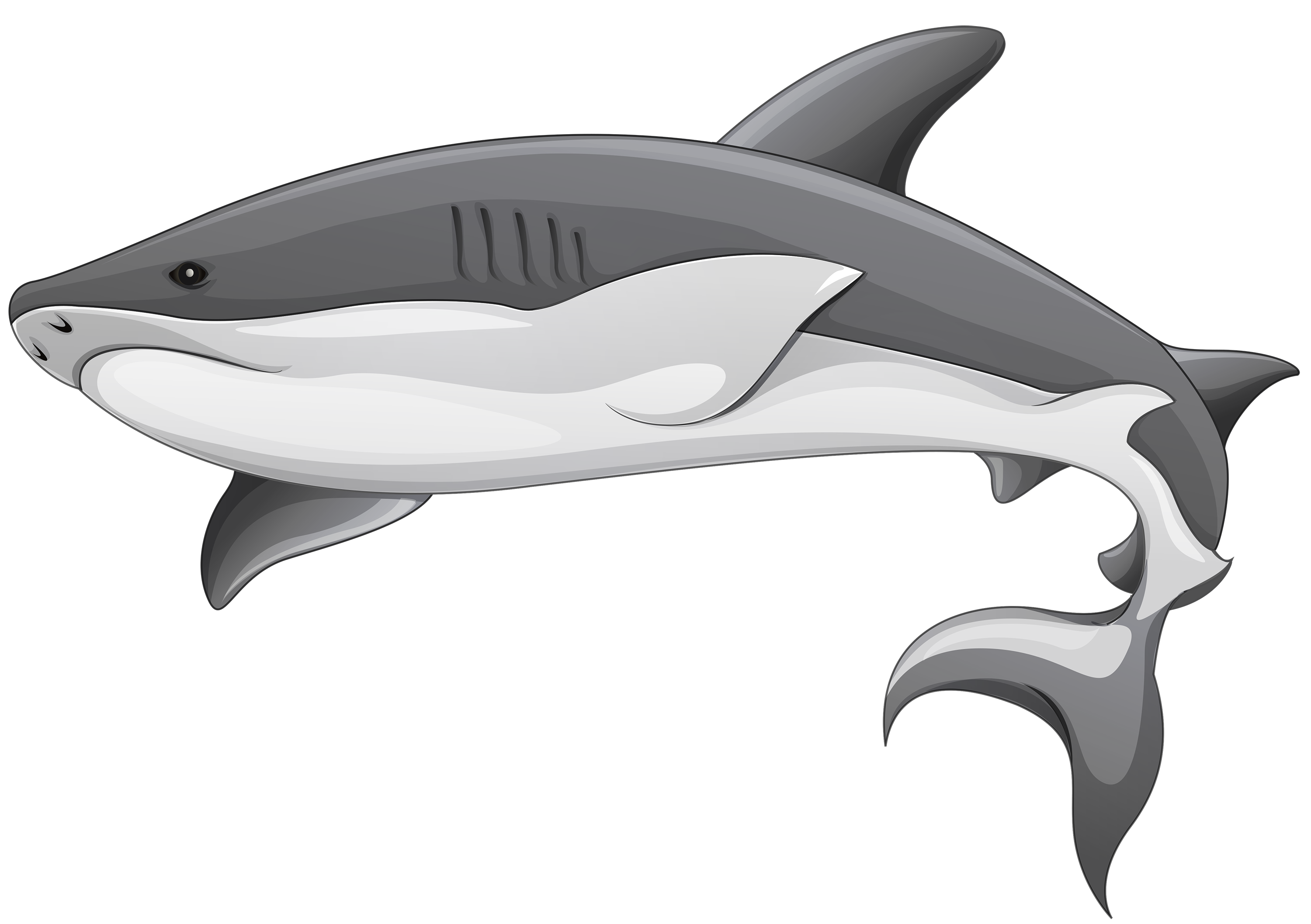 White shark clip art free vector in open office drawing svg svg 