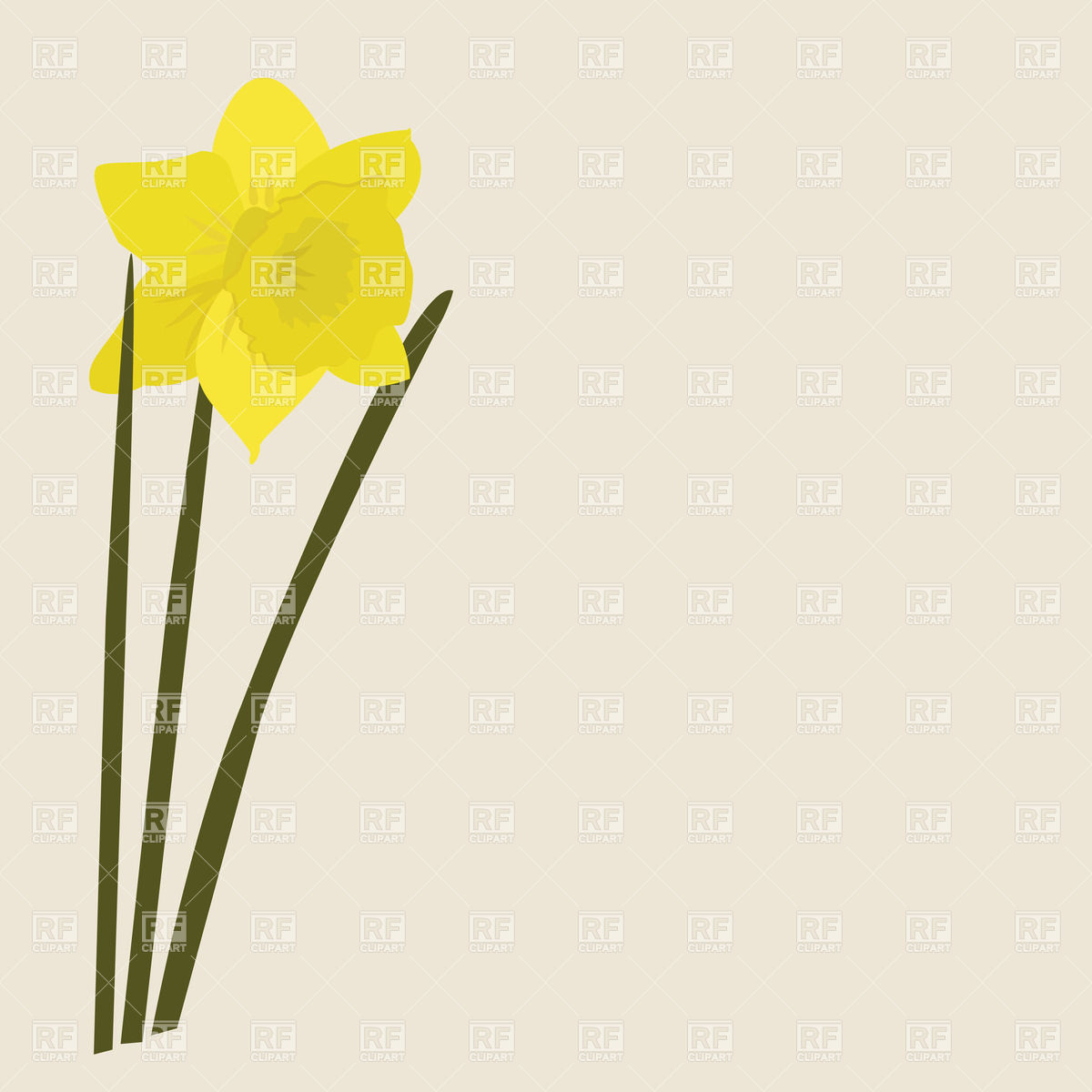 Yellow Daffodil Flower Illustration - Spring Botanical Art