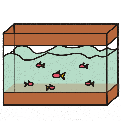 Illustration of a rectangular fish tank with six small pink and black fish swimming in light green water.