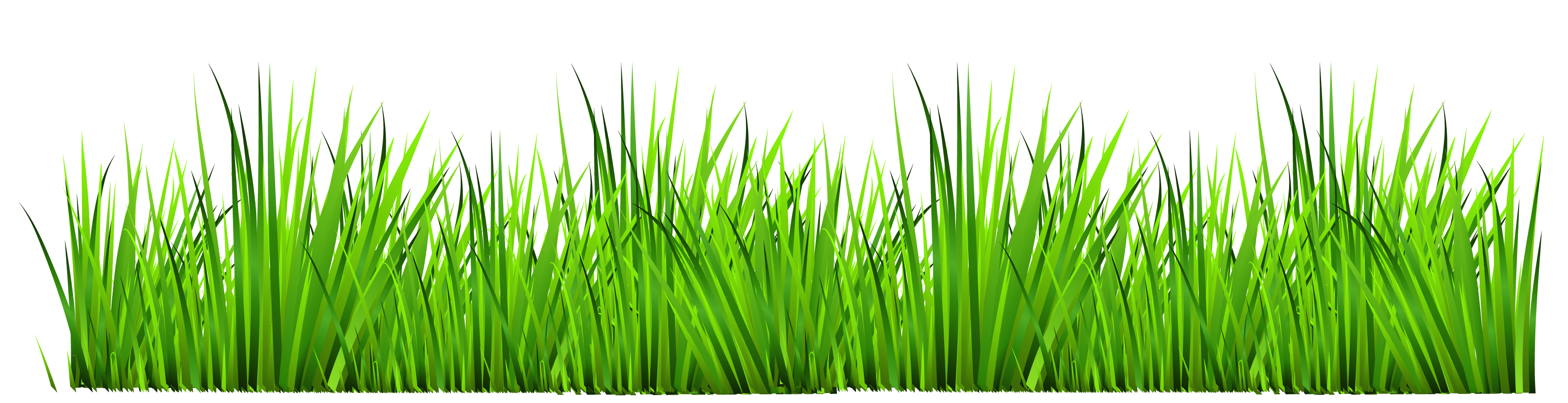 Best Grass Clipart 