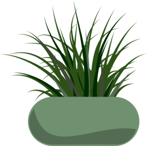 Decorative Potted Grass Plant Illustration - Modern Indoor Greenery Design