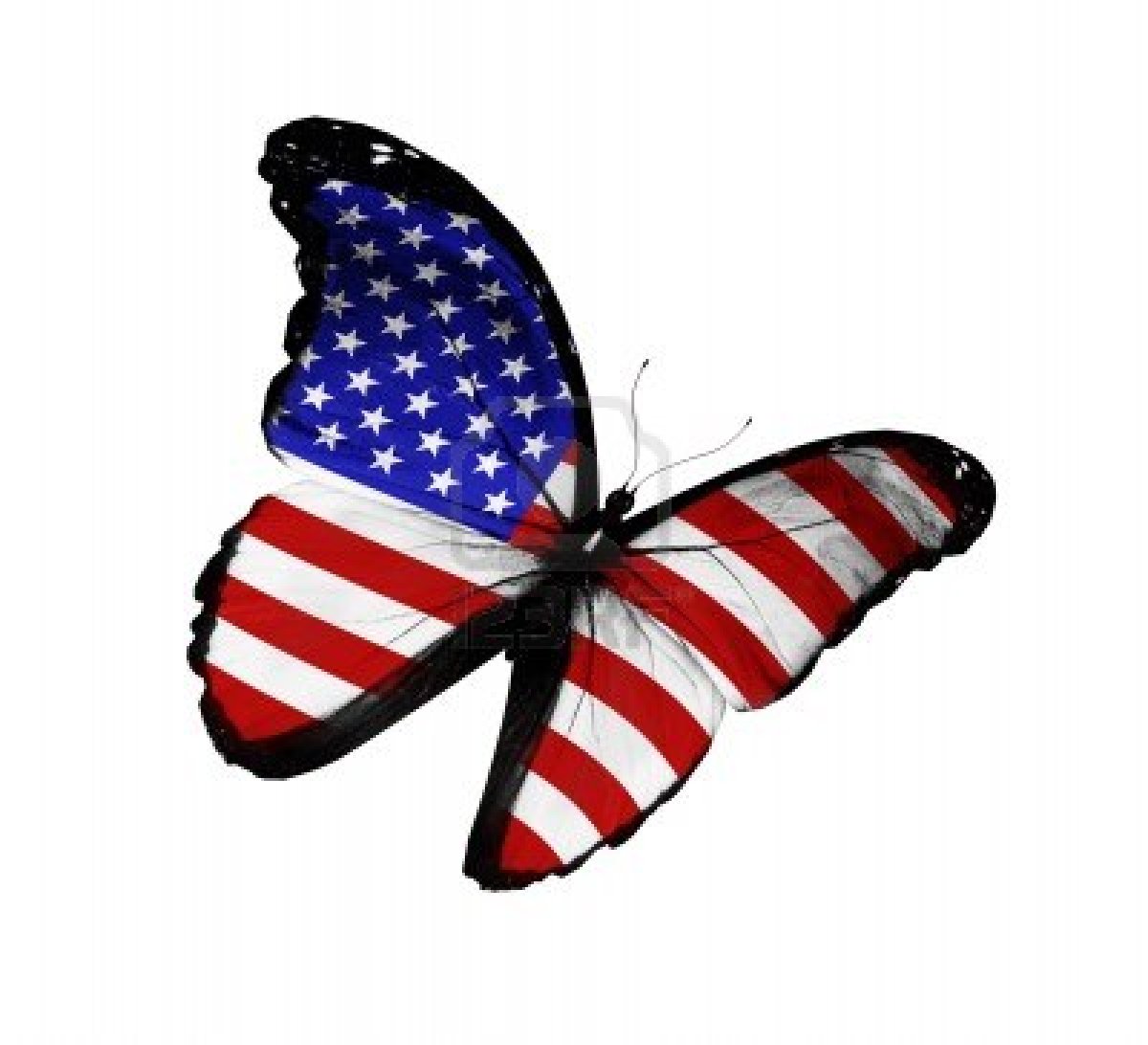 Butterfly with wings patterned as the American flag, symbolizing patriotism and freedom.