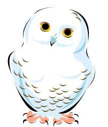 snowy owl clip art 