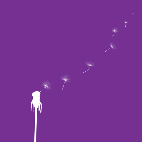 White dandelion seed head releasing seeds against a solid purple background, symbolizing wishes, change, or letting go.