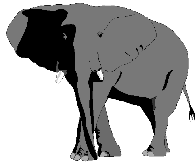 Stylized grayscale illustration of an African elephant with large ears and tusks, shown in profile against white background.