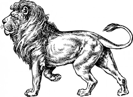Lion clip art Free vector in Open office drawing svg