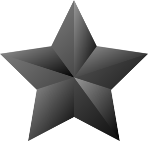 A grayscale 3D-rendered five-pointed star with geometric facets and subtle shading.