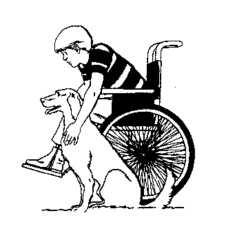 Child in Wheelchair with Service Dog - Inclusive Friendship Illustration