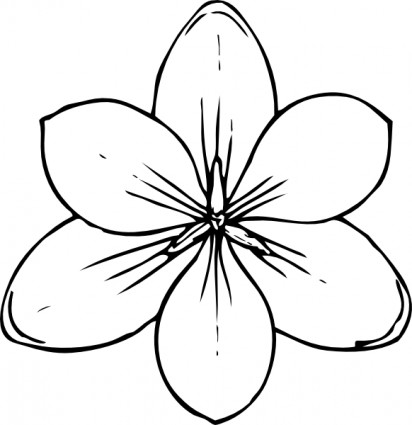 Crocus Flower Top View clip art Free vector in Open office drawing