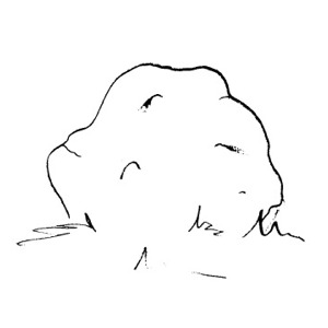 Simple black-and-white line sketch of a sleeping, rounded creature with closed eyes and gentle features.