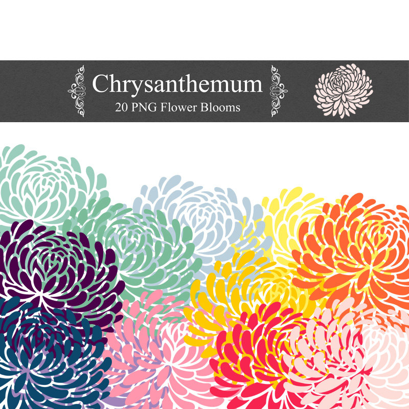 PNG Chrysanthemum Clip Art 300 dpi png floral by KatiesWish 
