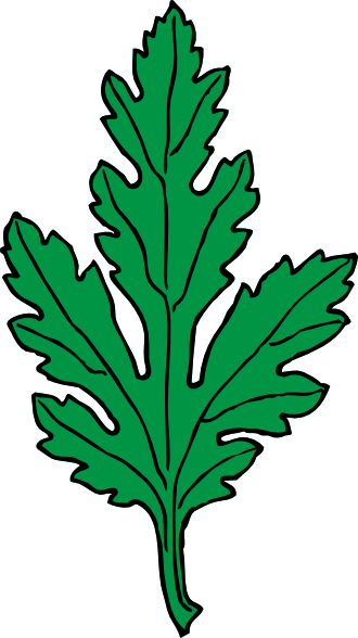 Green Serrated Leaf Illustration - Botanical Clipart for Gardening & Design
