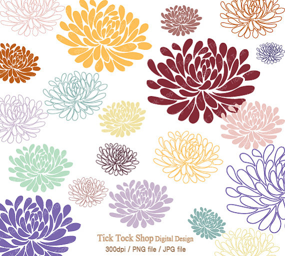 Free Chrysanthemum Flower Clipart - High-Res PNG & JPG Downloads