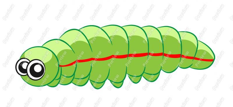 Bright green cartoon caterpillar with large eyes and a red stripe along its body, isolated on white background.