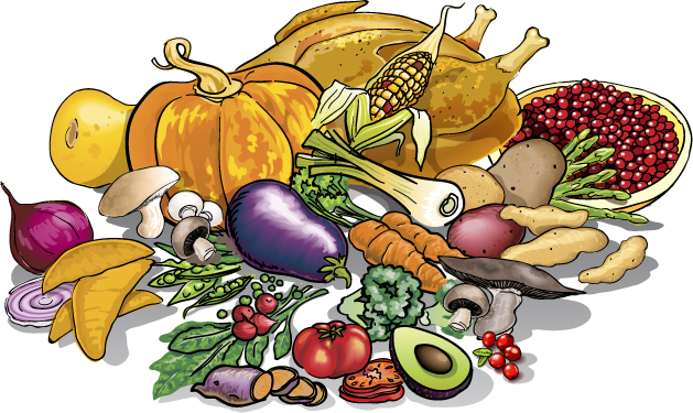 Colorful illustration of seasonal harvest including pumpkin, corn, turkey, cranberries, vegetables, and fruits.